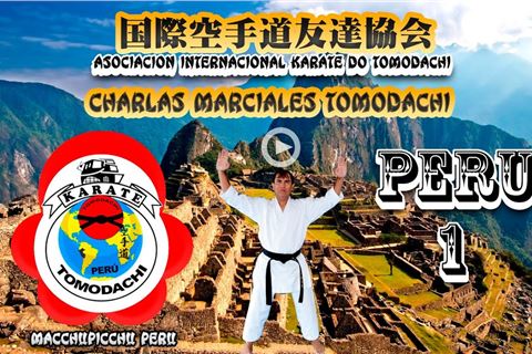 ARTES MARCIALES KARATE CHARLAS TOMODACHI 1