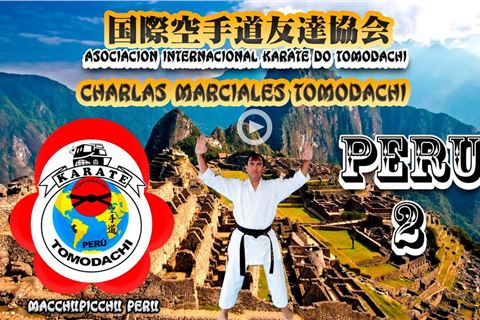 ARTES MARCIALES KARATE CHARLAS TOMODACHI 2