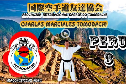 ARTES MARCIALES KARATE CHARLAS TOMODACHI 3