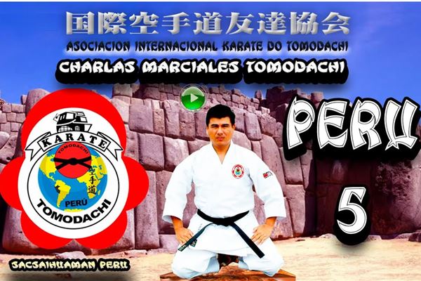 ARTES MARCIALES KARATE CHARLAS TOMODACHI 5