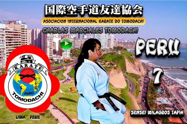 ARTES MARCIALES, KARATE: CHARLAS TOMODACHI 7