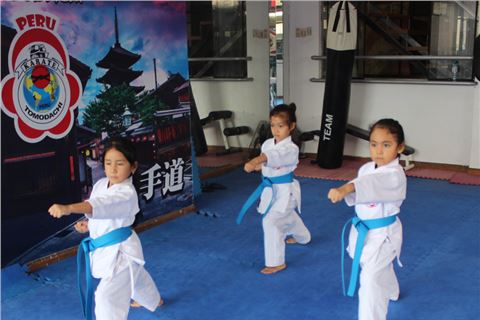 Karate Infantil